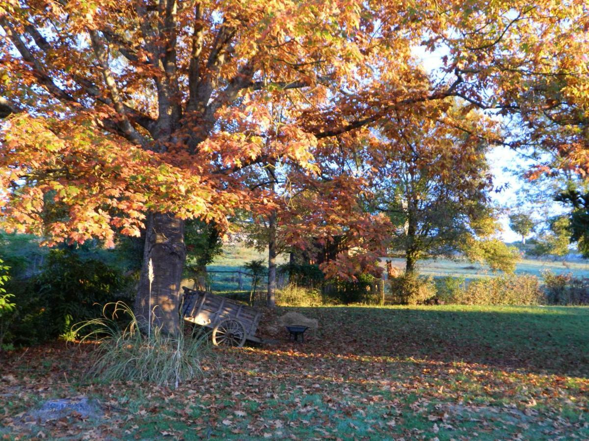 Centre De Bien-Etre Et Ses Chambres D'Hote Villeneuve-de-Riviere ภายนอก รูปภาพ