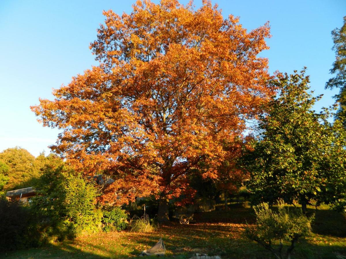 Centre De Bien-Etre Et Ses Chambres D'Hote Villeneuve-de-Riviere ภายนอก รูปภาพ